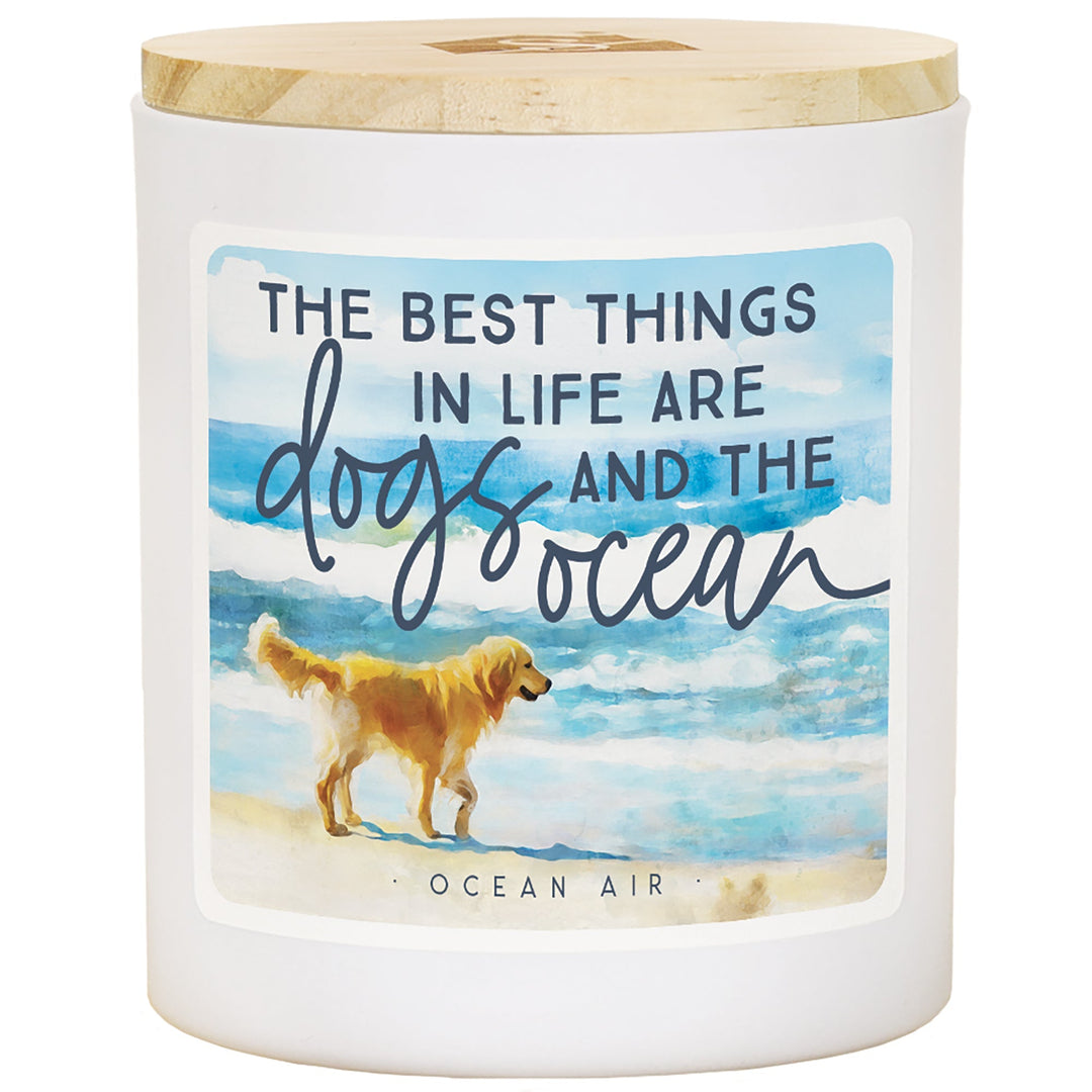 Dogs And The Ocean - AIR