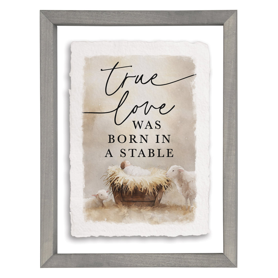 True Love Born Stable