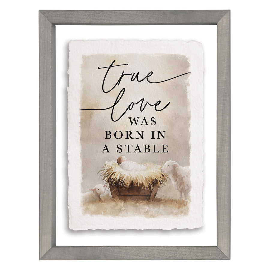 True Love Born Stable
