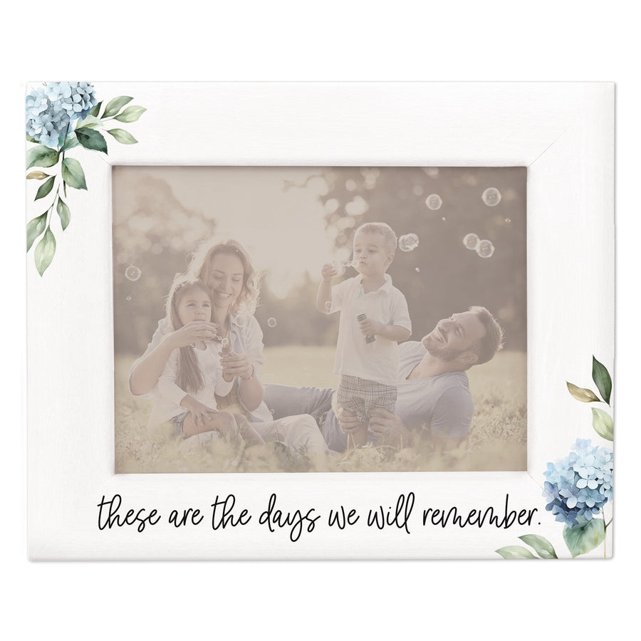 Days Remember Hydrangeas