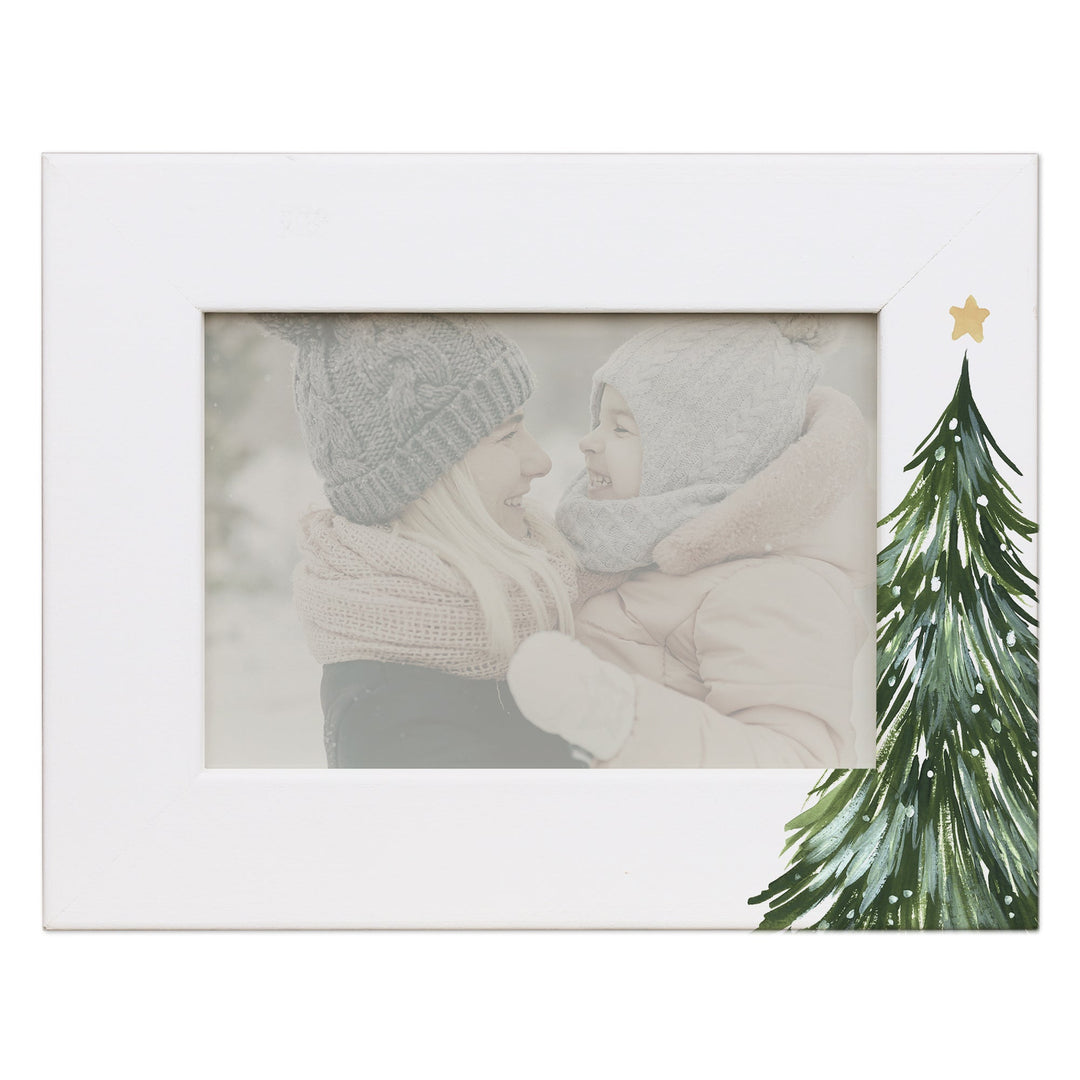 Evergreen Tree