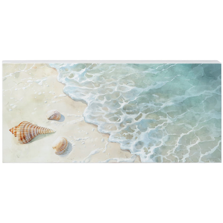 Shoreline With Shells