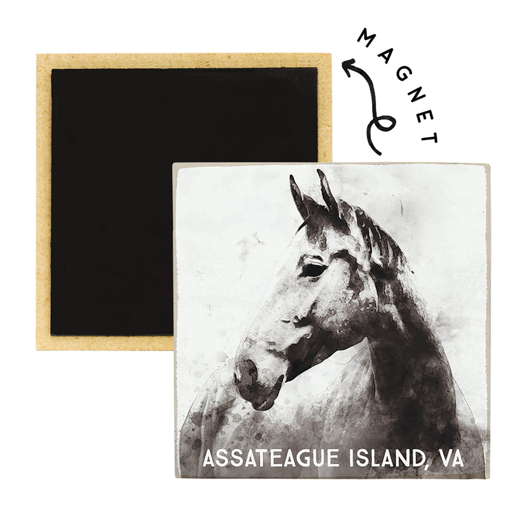 B&W Horse LOC