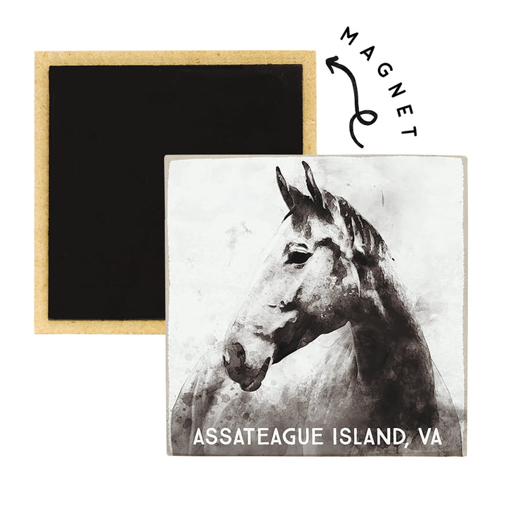 B&W Horse LOC