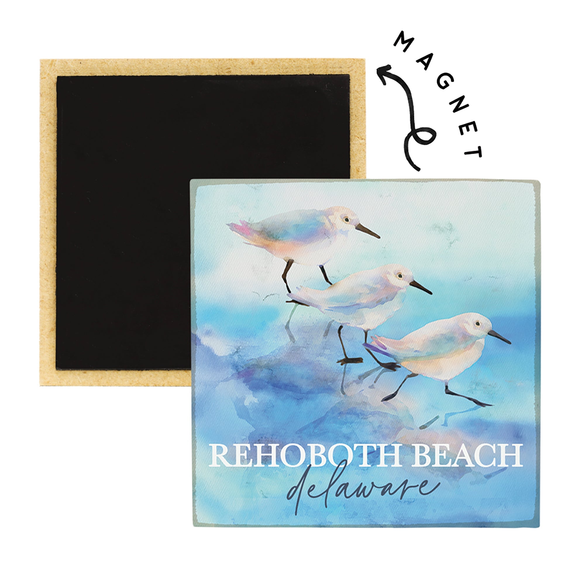 Sandpipers Blue Art LOC