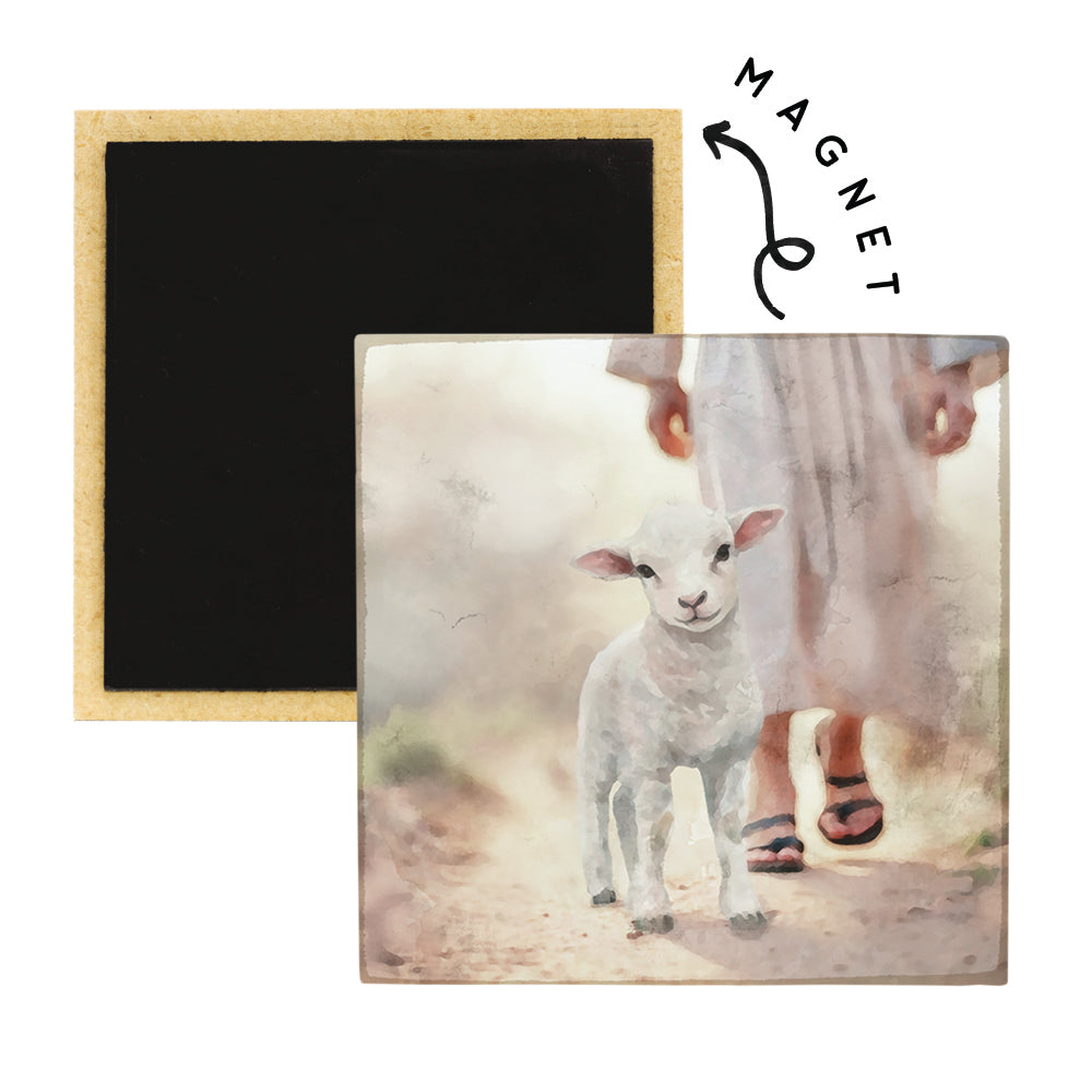 Lamb Walking On Path