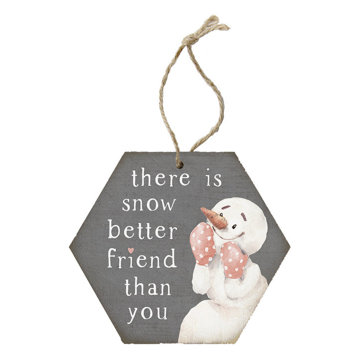 Snow Better Friend