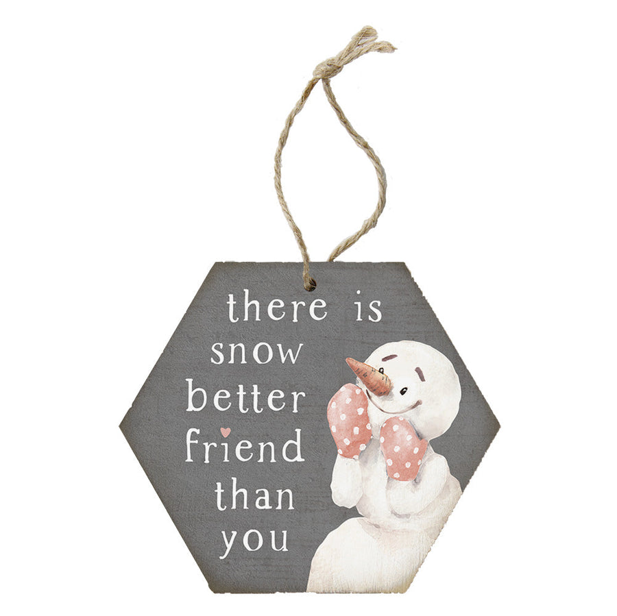 Snow Better Friend