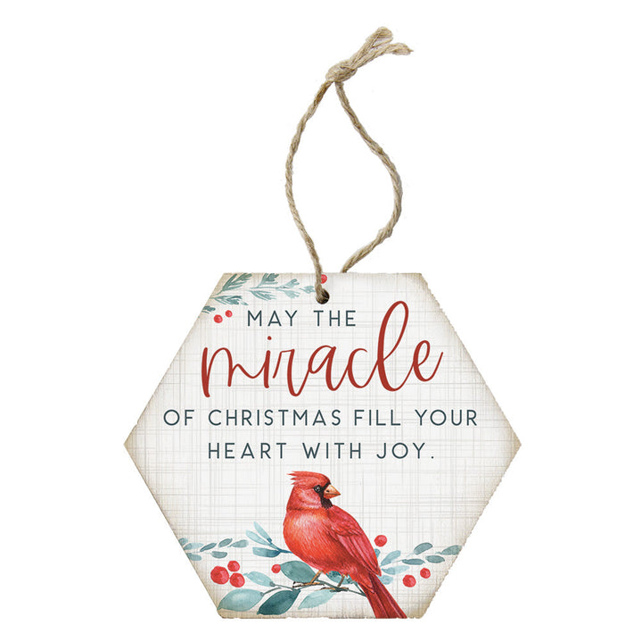 Miracle Of Christmas