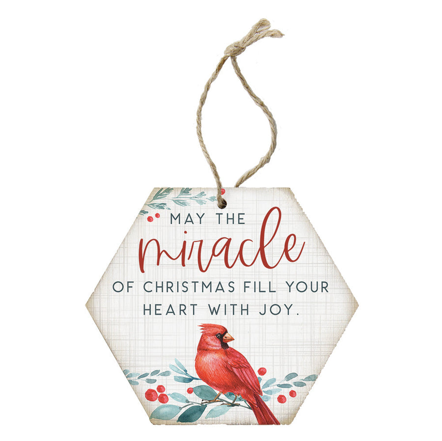 Miracle Of Christmas
