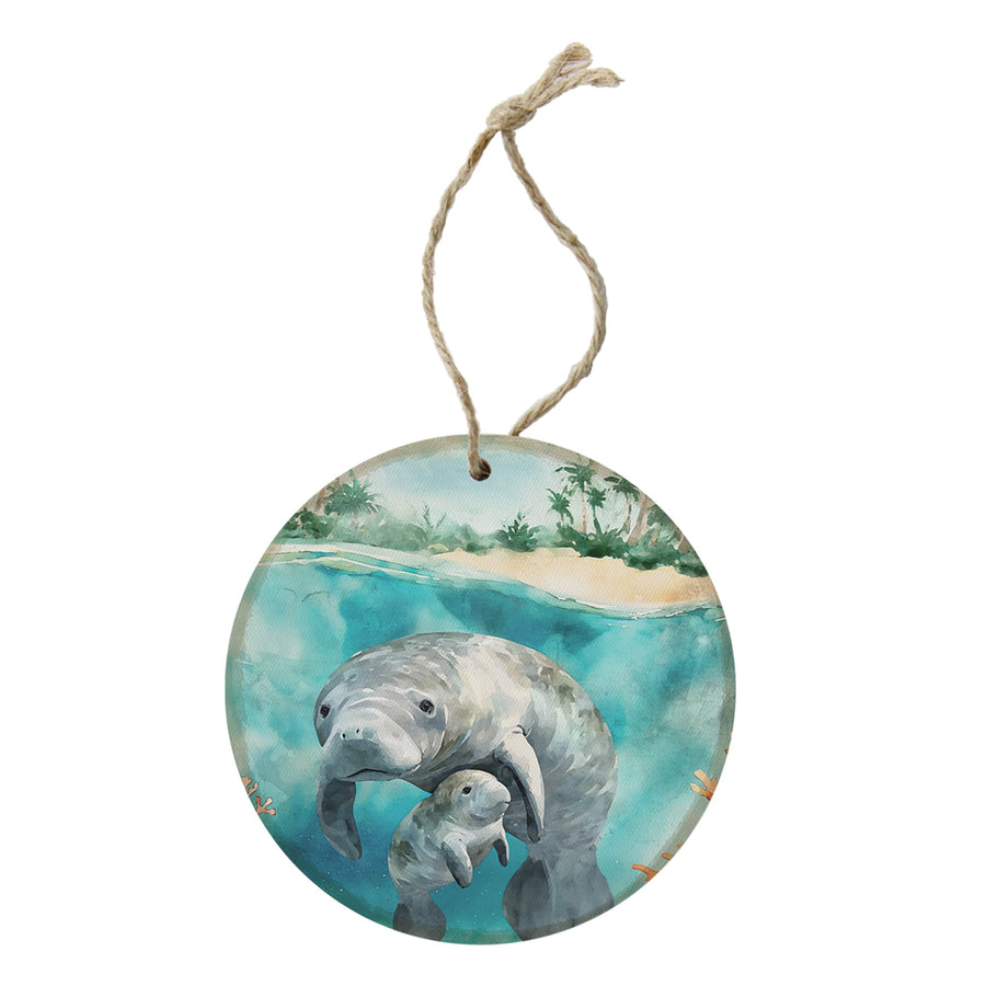 Manatees Scene LOC