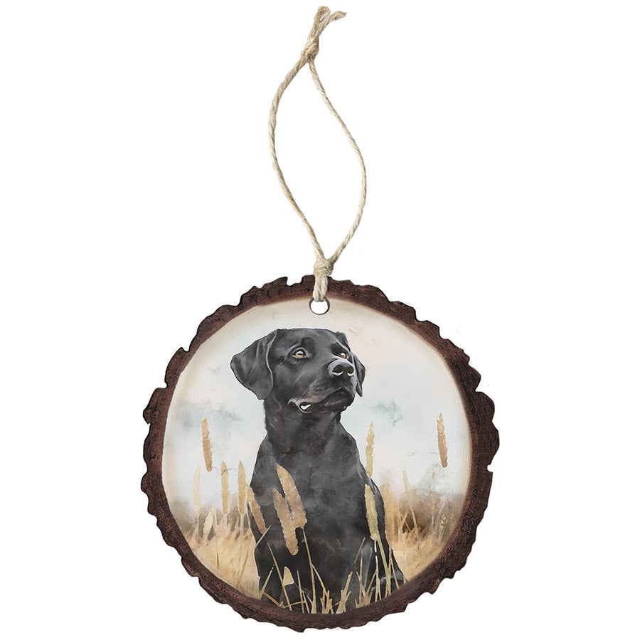 Black Lab