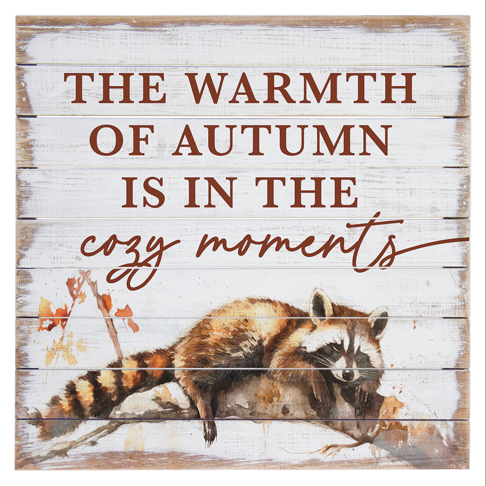 Cozy Moments Raccoon