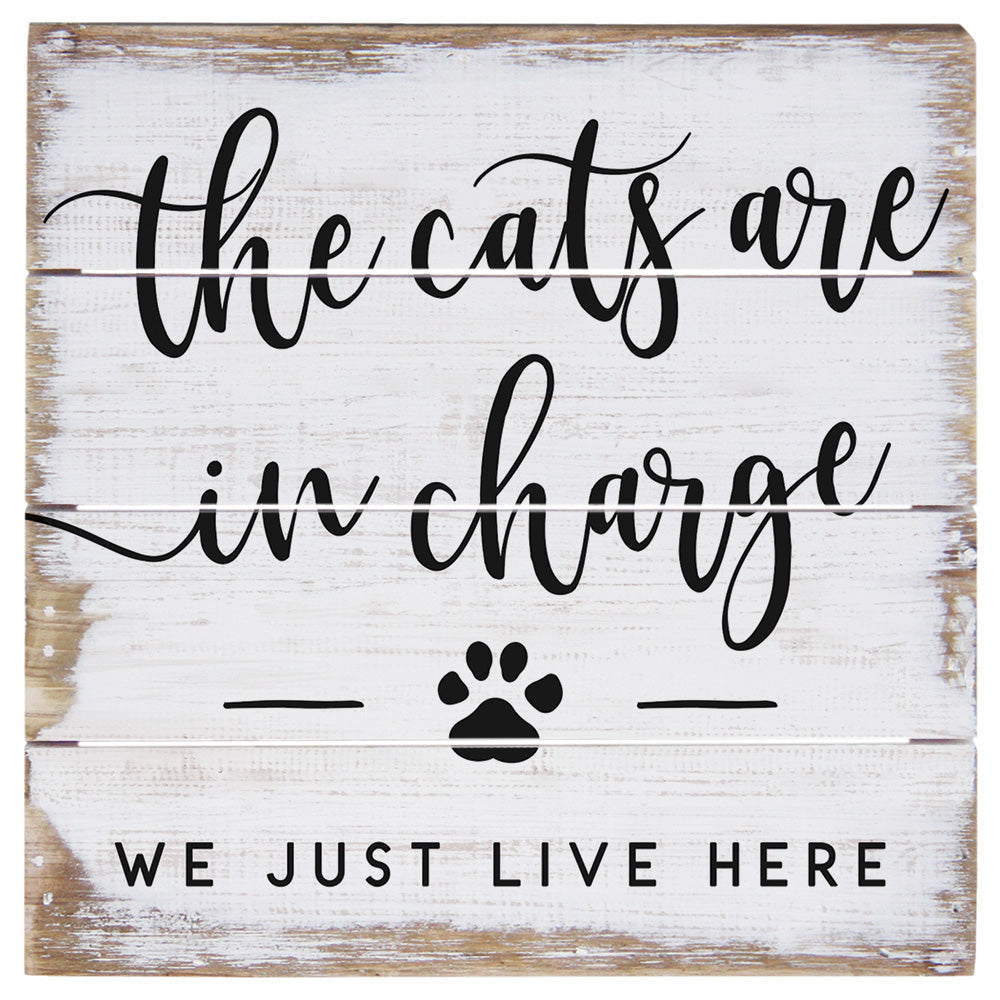 Cats In Charge PER
