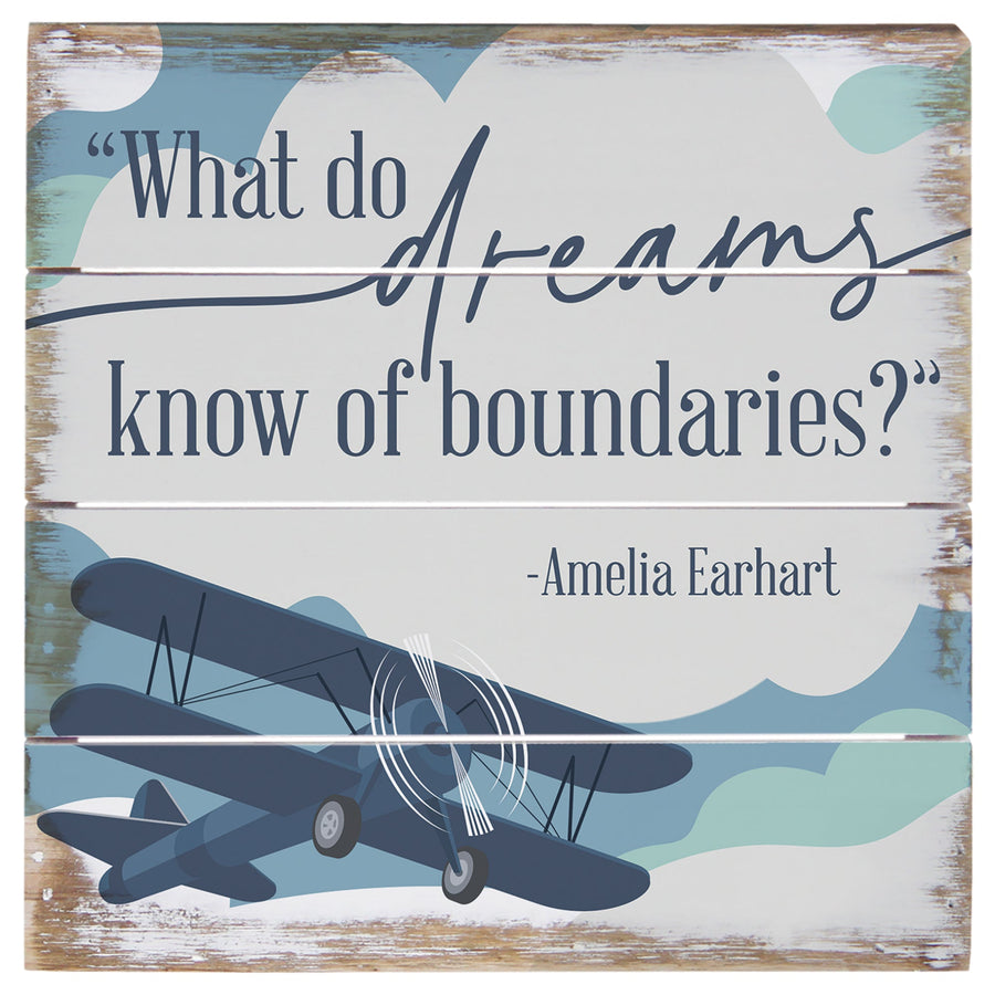 What Do Dreams Plane 6"