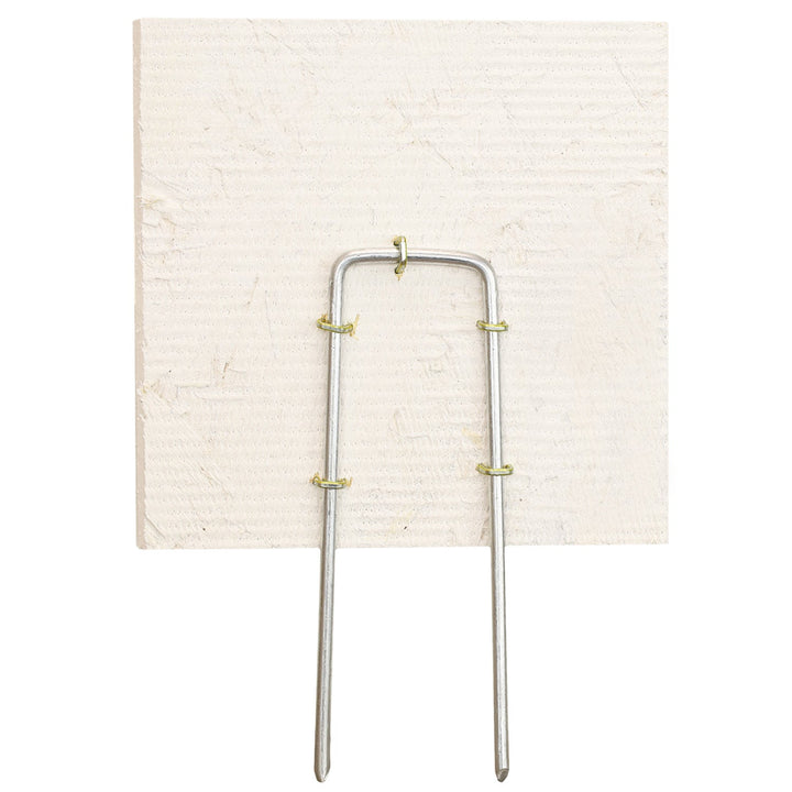 Always With You Cardinal