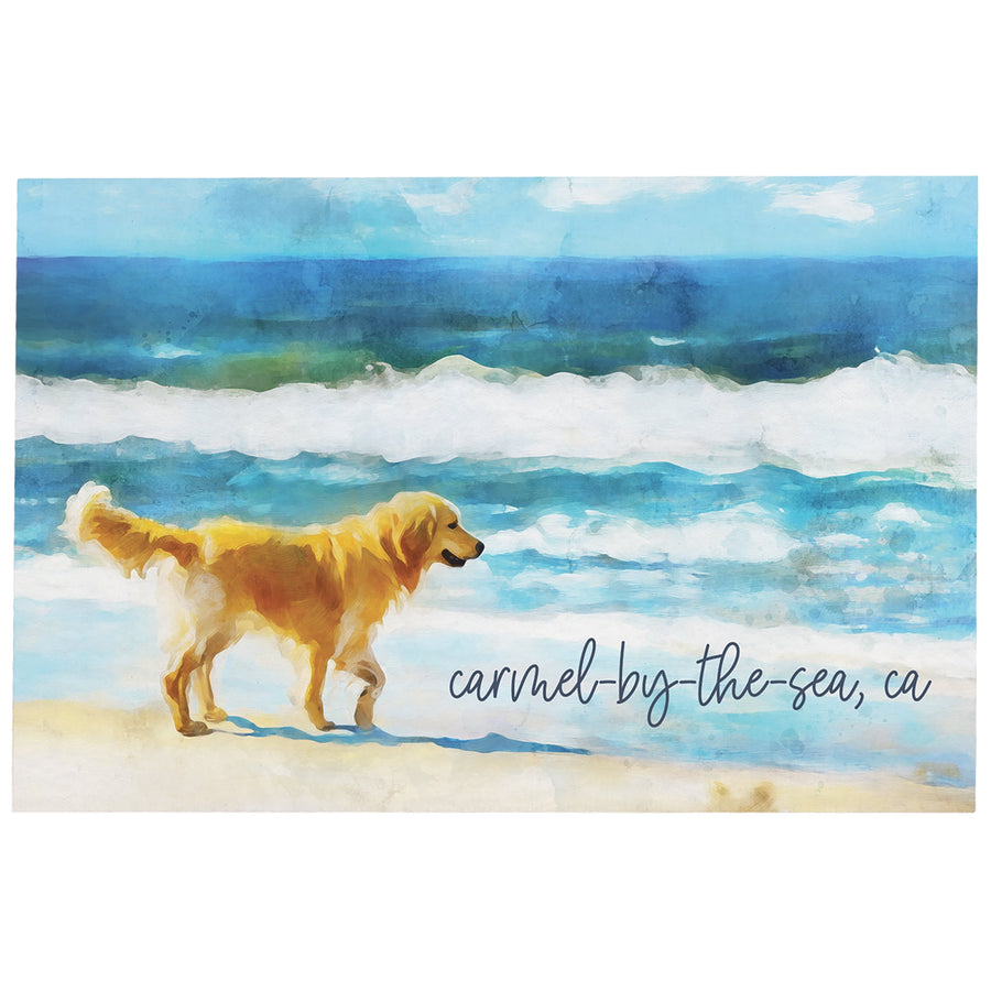 Dog Beach Scene LOC