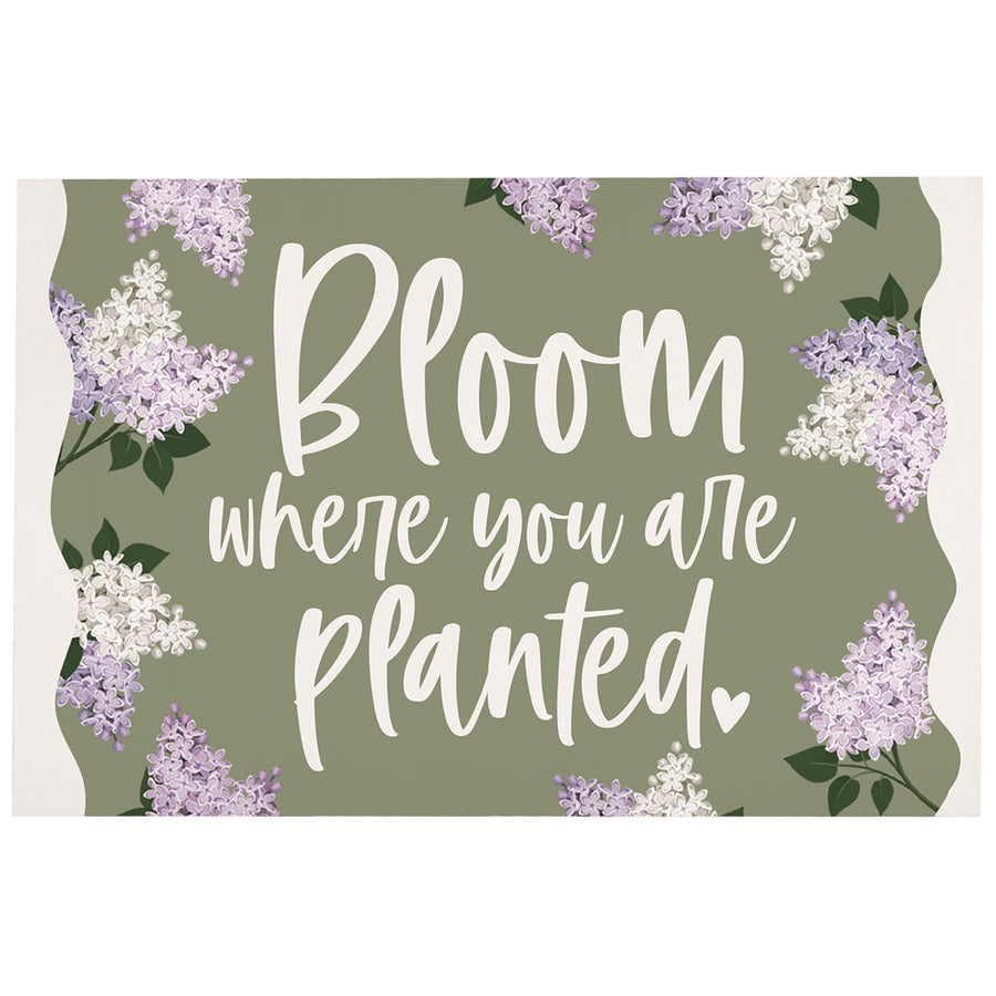 Bloom Planted Lilacs