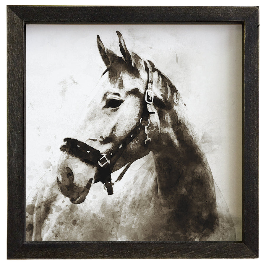 B&W Watercolor Horse