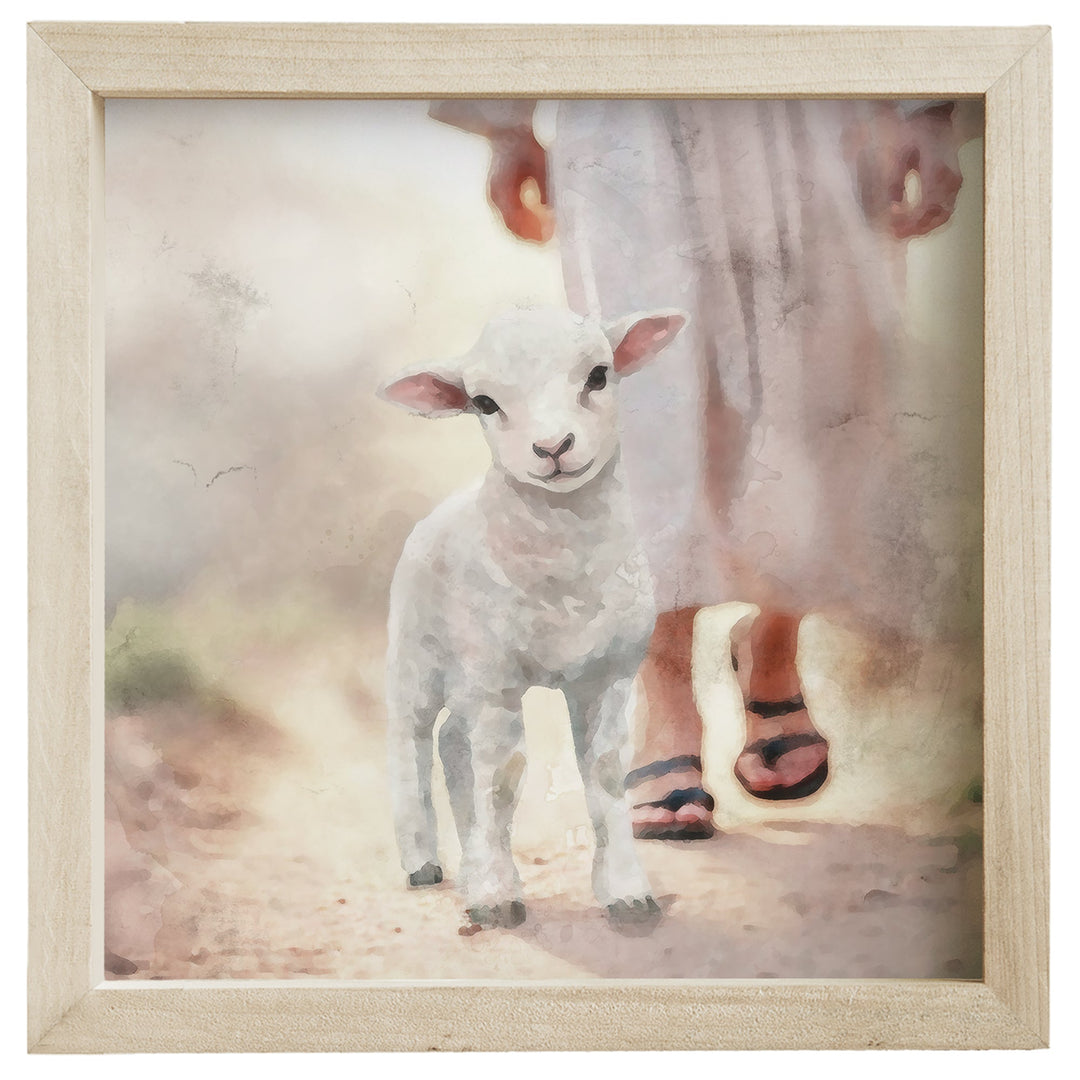 Lamb Walking On Path
