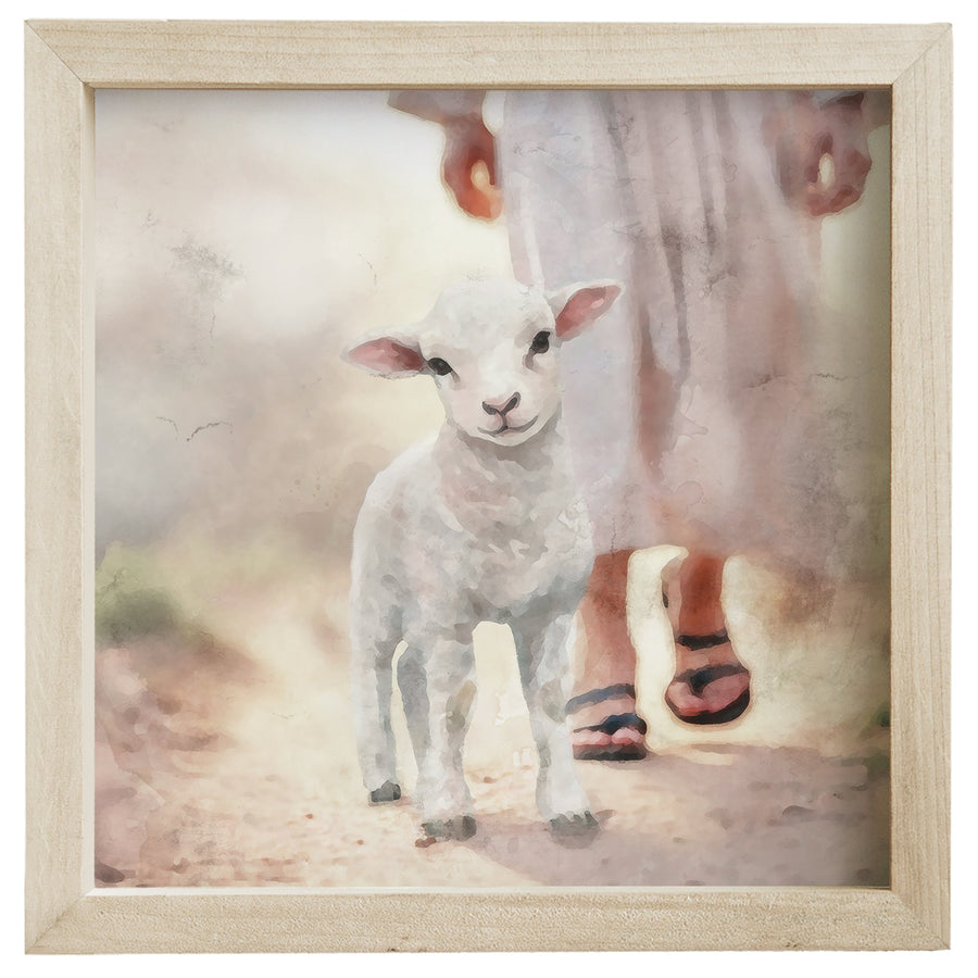 Lamb Walking On Path