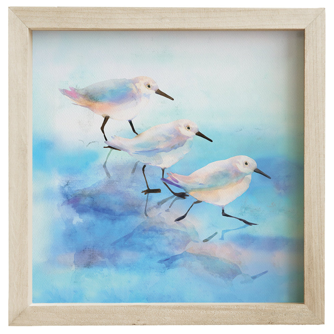 Blue Sandpipers Art