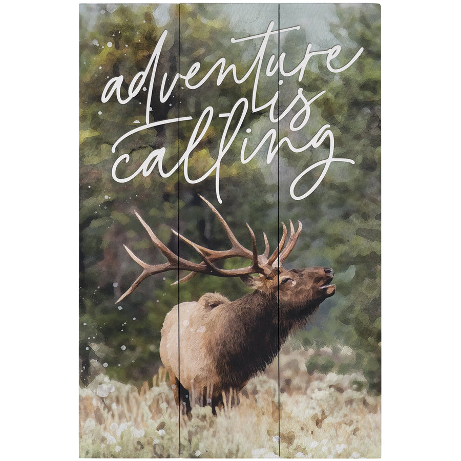 Adventure Calling Elk