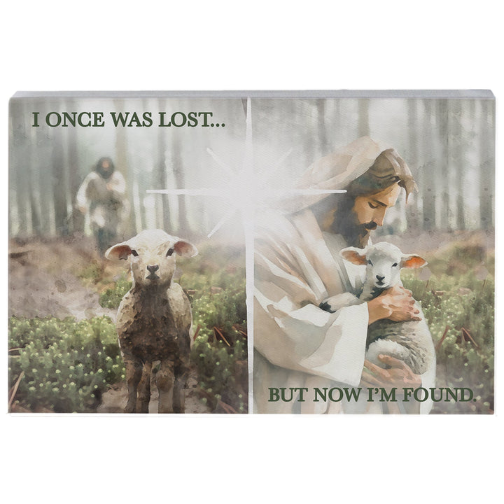 Lost Found Lamb