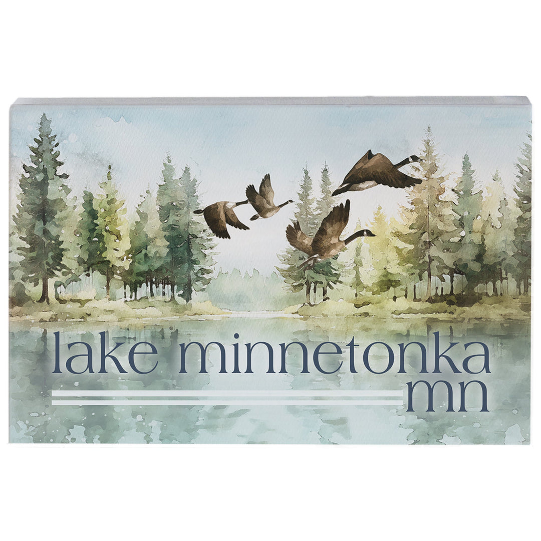 Lake Geese Location LOC