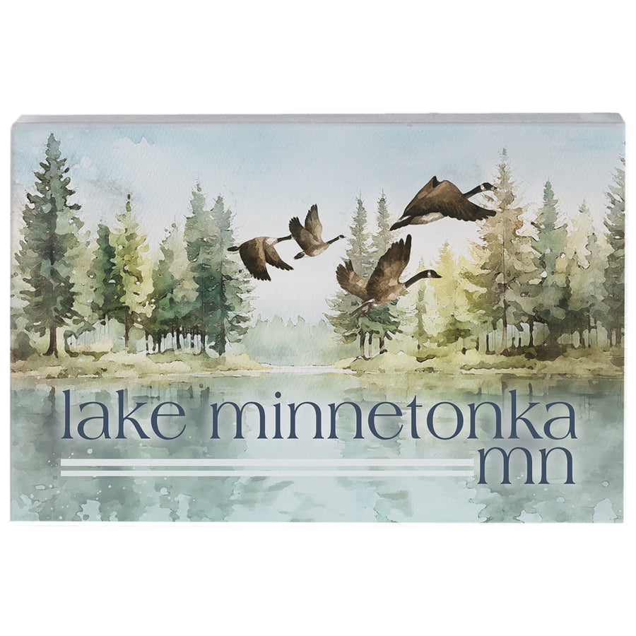 Lake Geese Location LOC
