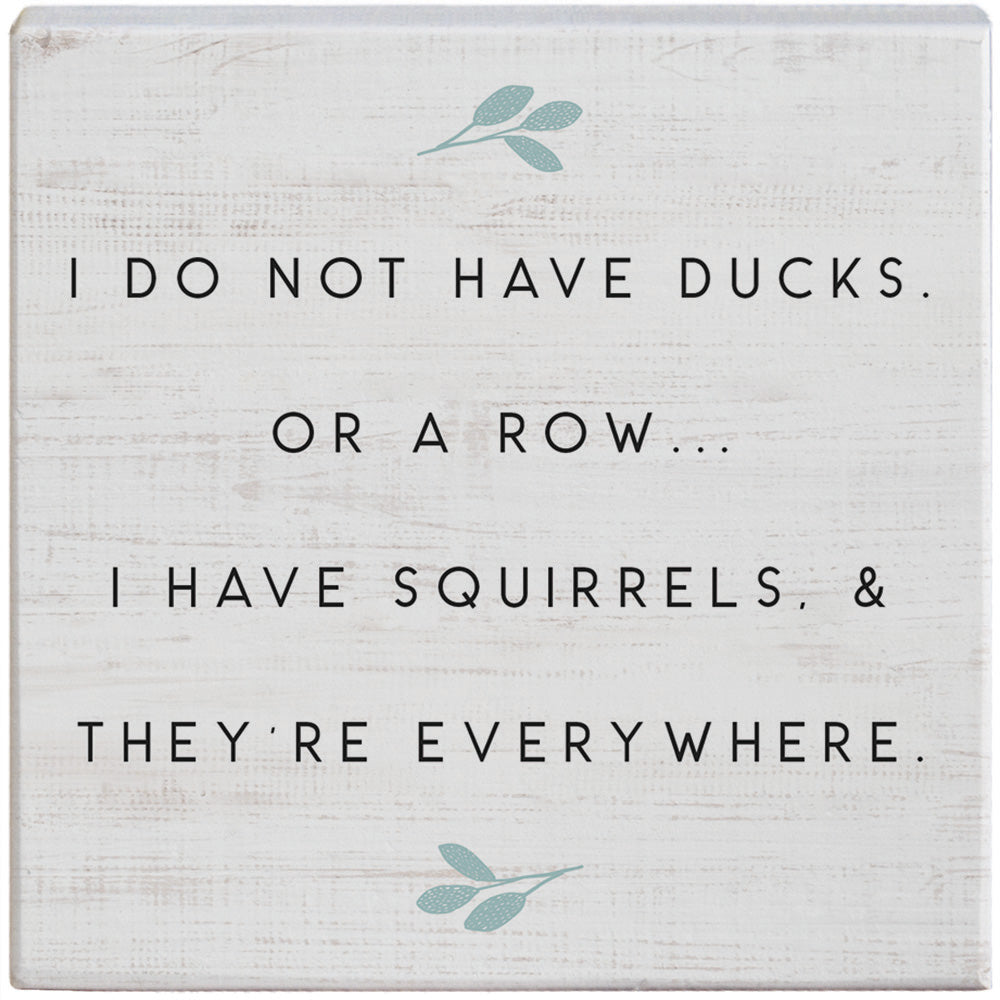 Squirrels Everywhere
