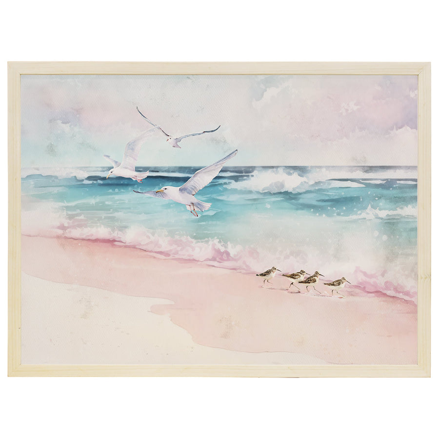 Pink Beach Birds