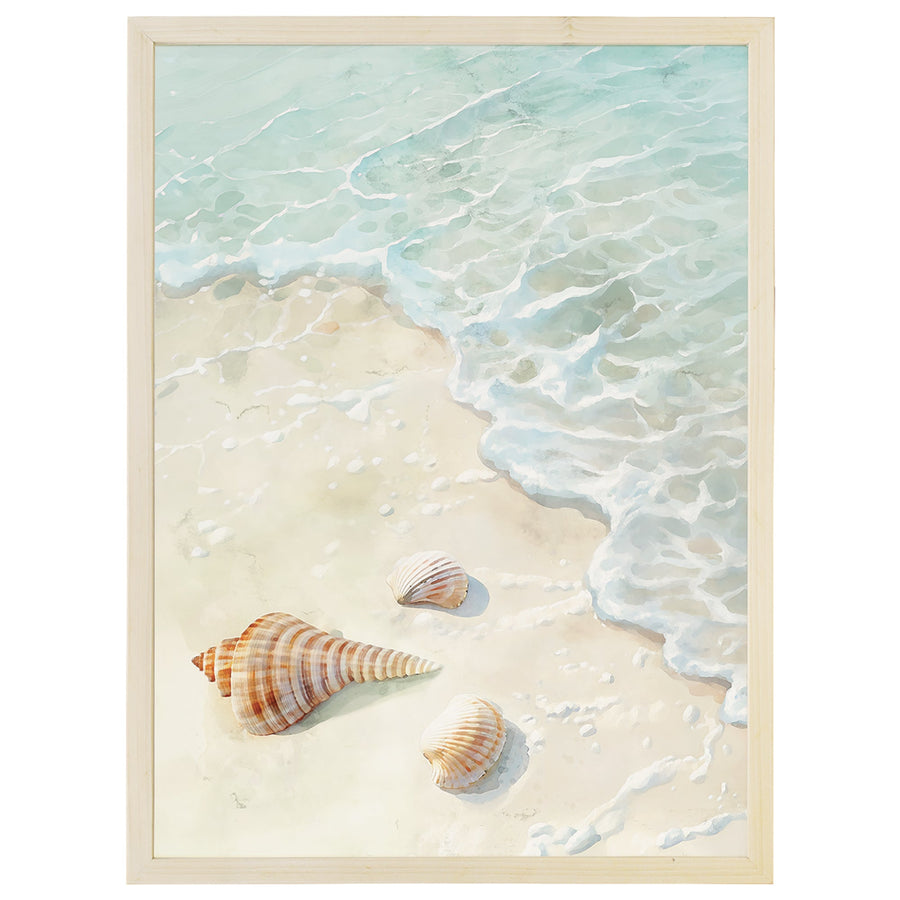Seashell Shoreline