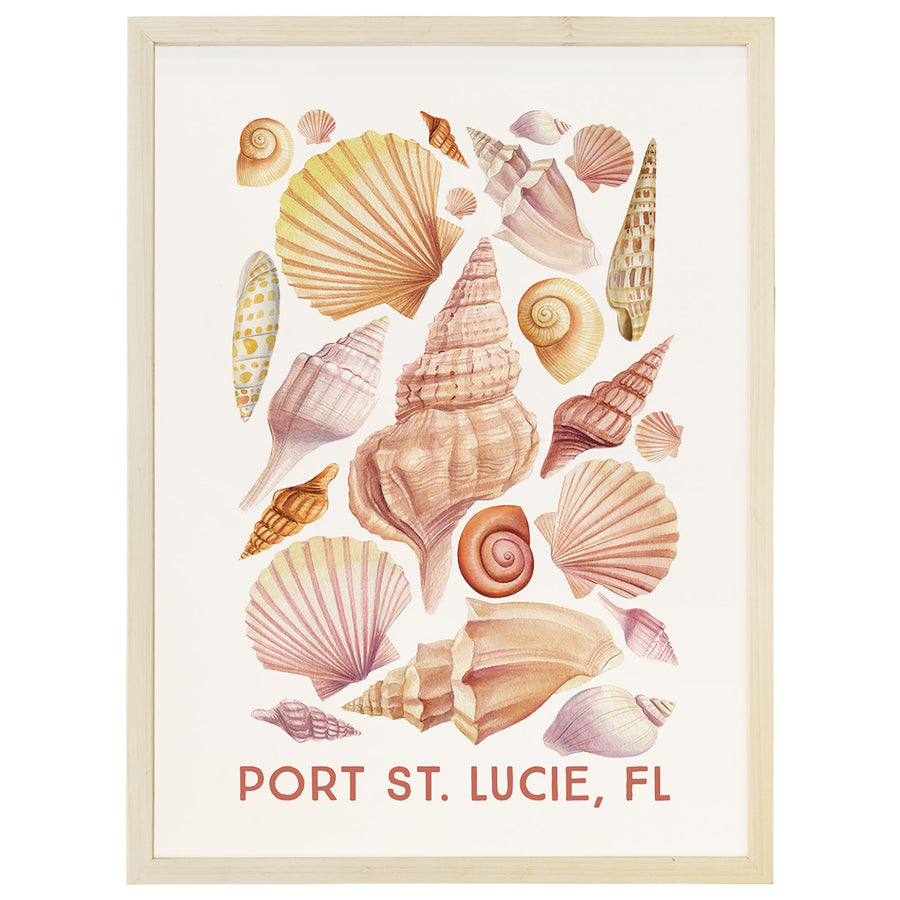 Shells Collage LOC