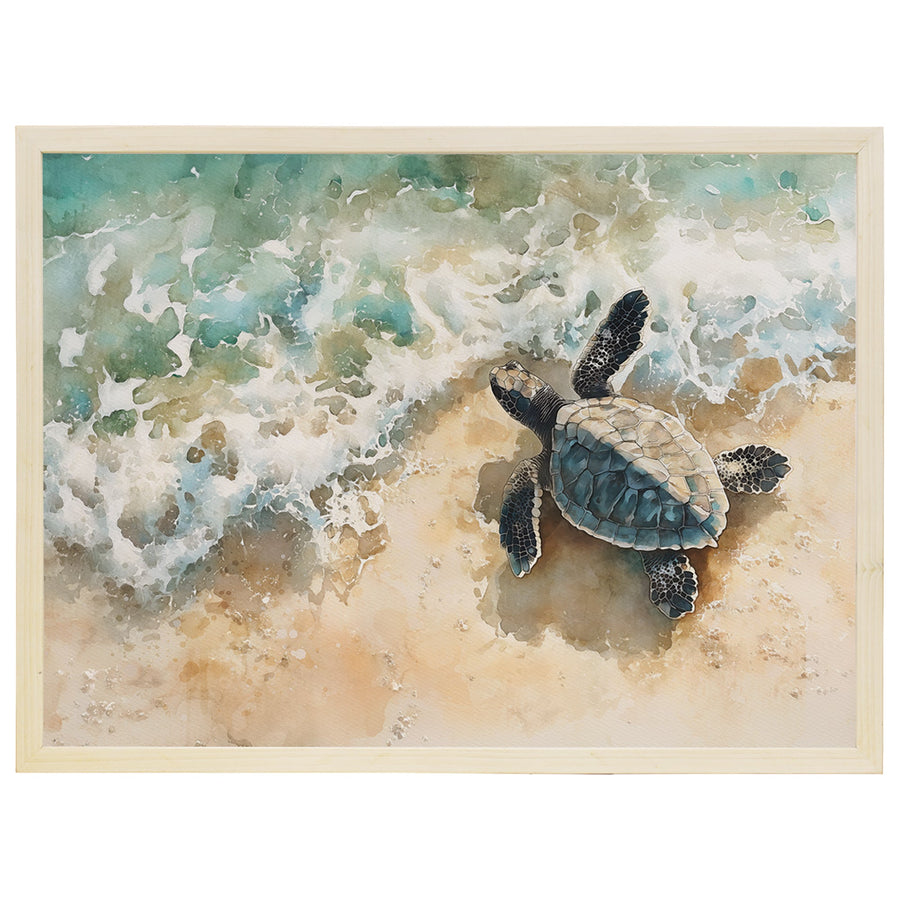 Turtle Shoreline