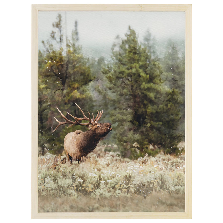 Elk Scene