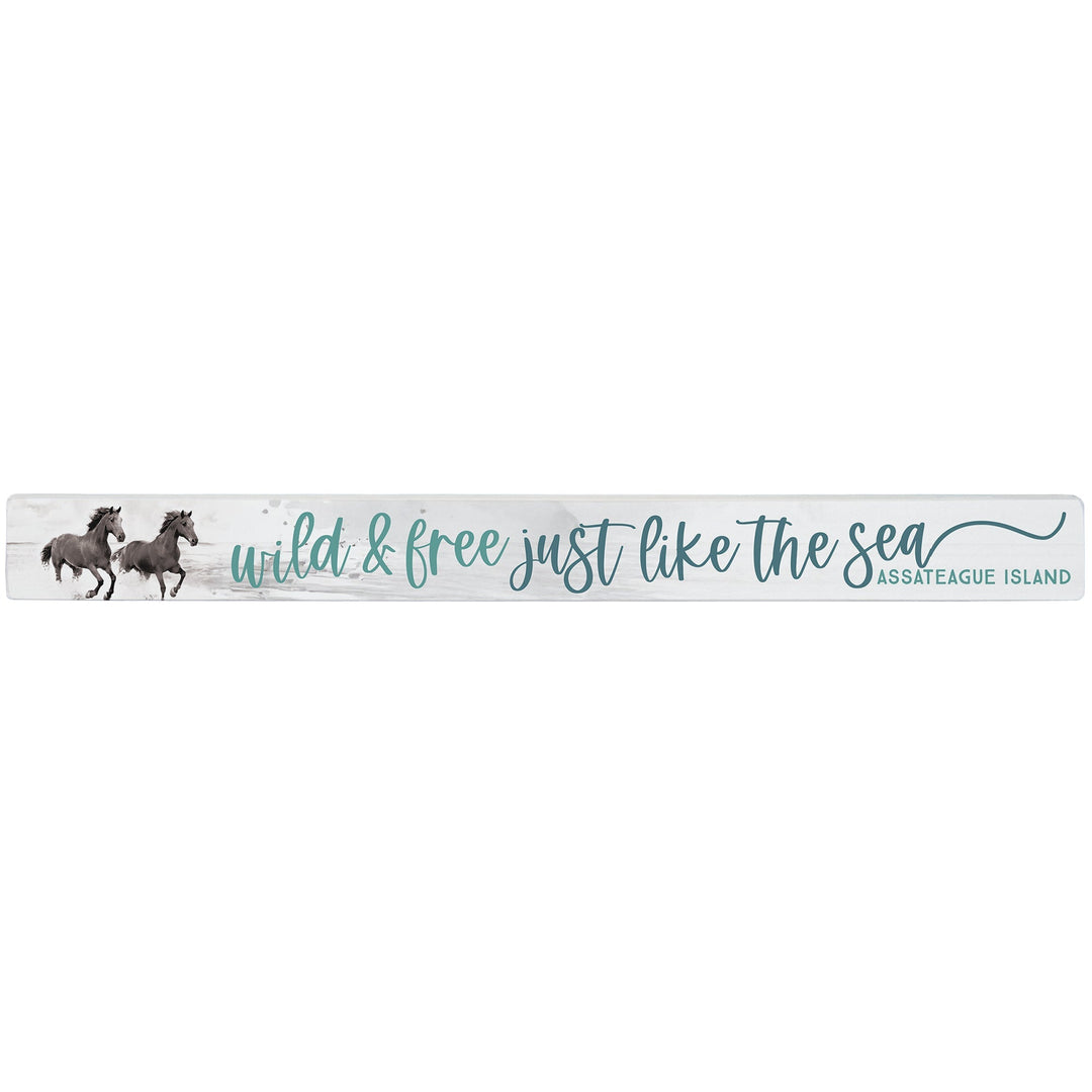 Wild Free Beach Horses LOC