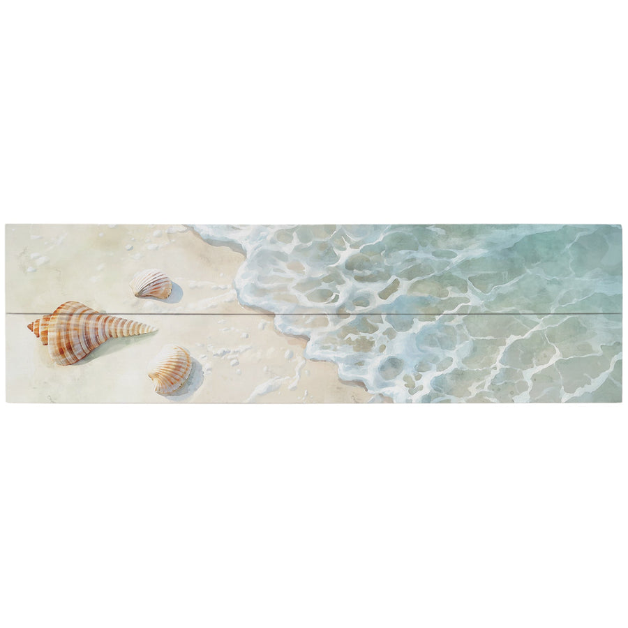 Seashell Shoreline