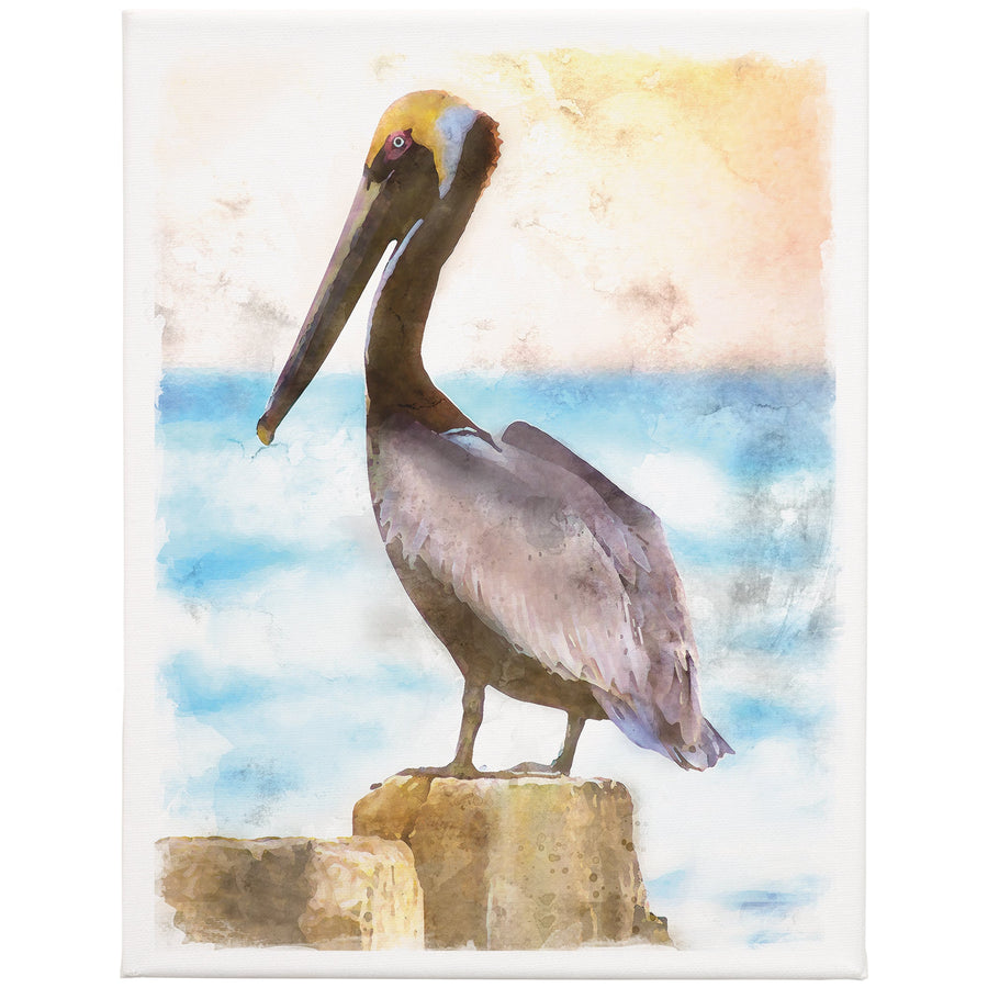 Pelican Scene 13x17